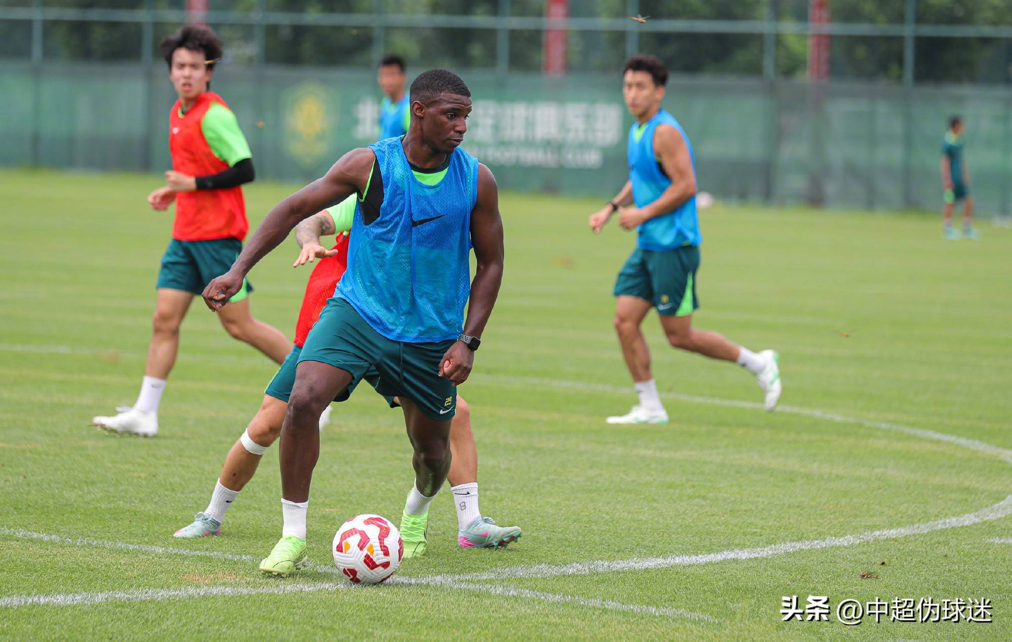 稳定的组织 稳定的组织